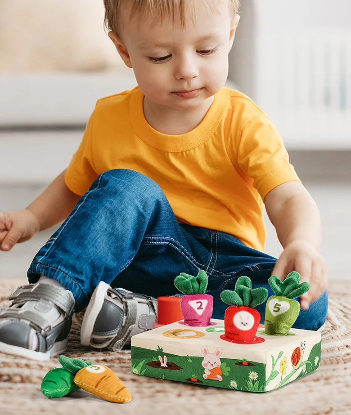 Montessori Plush Carrots Harvest Game